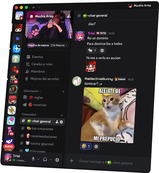 Vista previa del servidor de Discord
